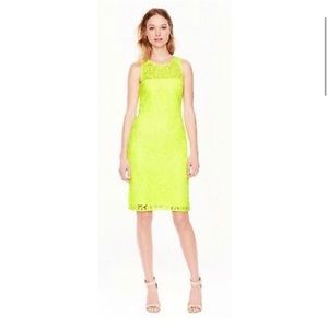 J. Crew Collection Women's Lace Sheath Dress